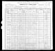 US Federal Census - 1900