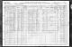 1910 US Federal Population Census